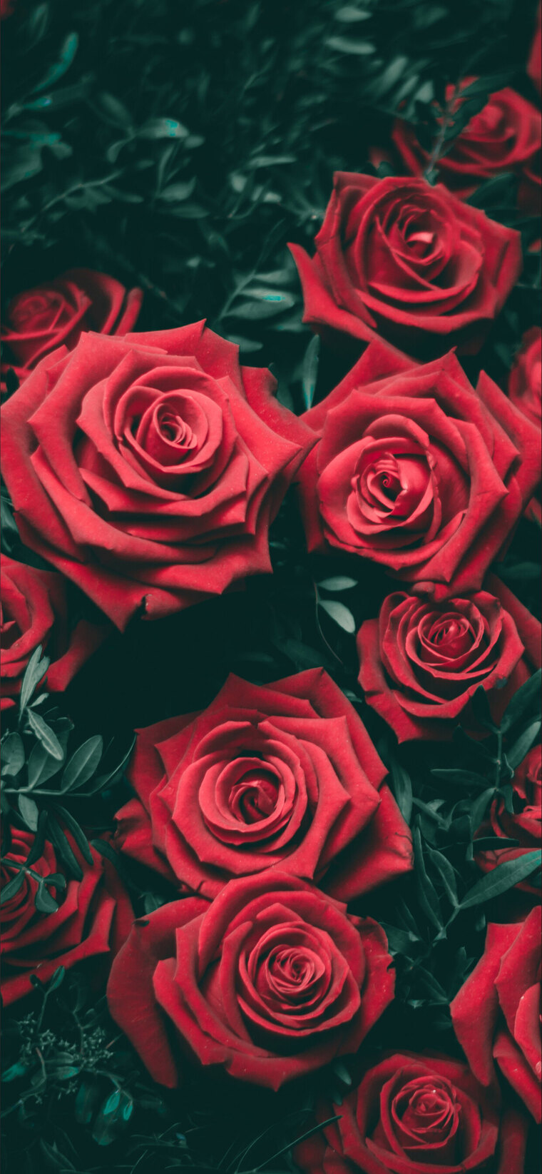 Matthew cover image