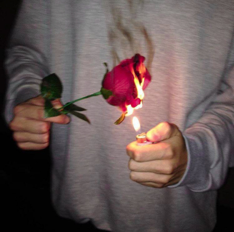 Matty cover image