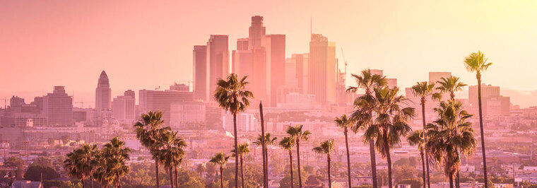 Matty banner image