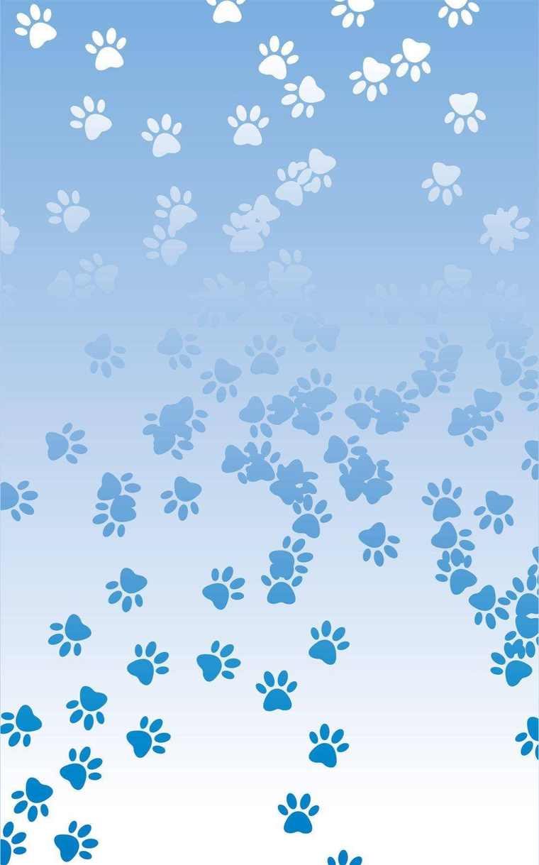 Pup Mateo 💙 cover image