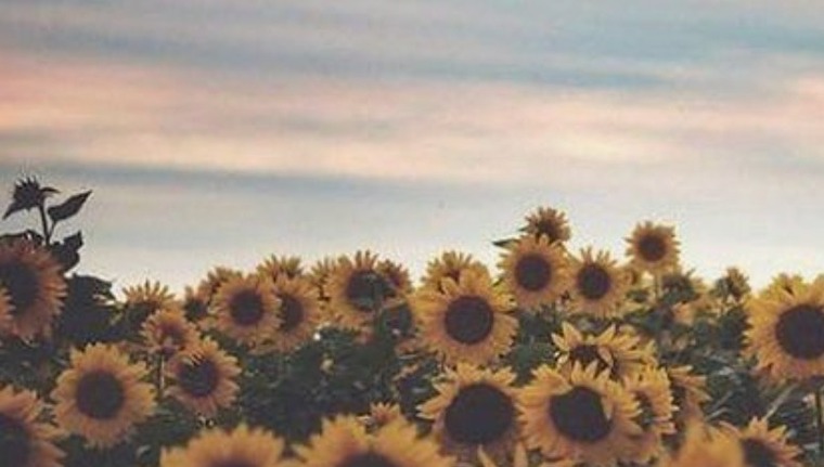 Jayden Matzke banner image