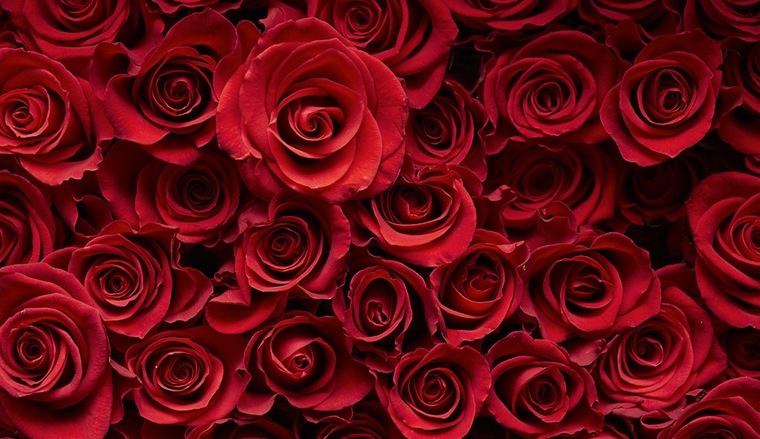 𝕄𝕒𝕦𝕣𝕖𝕖𝕟 💋 cover image