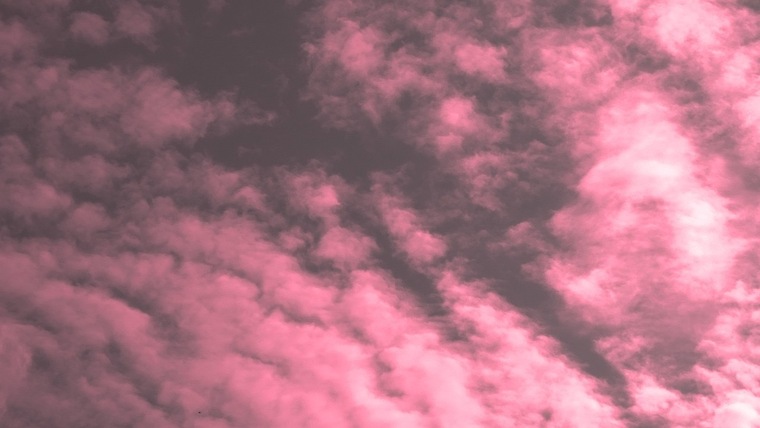mauve cover image