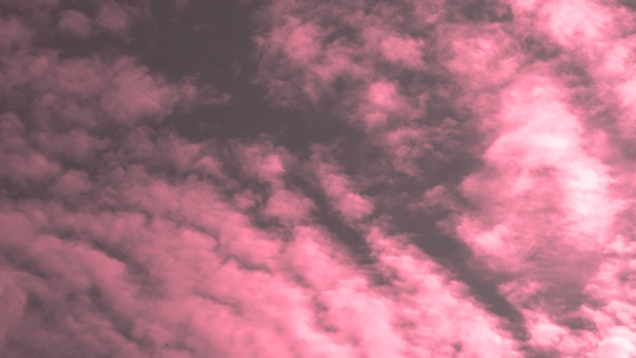 mauve banner image