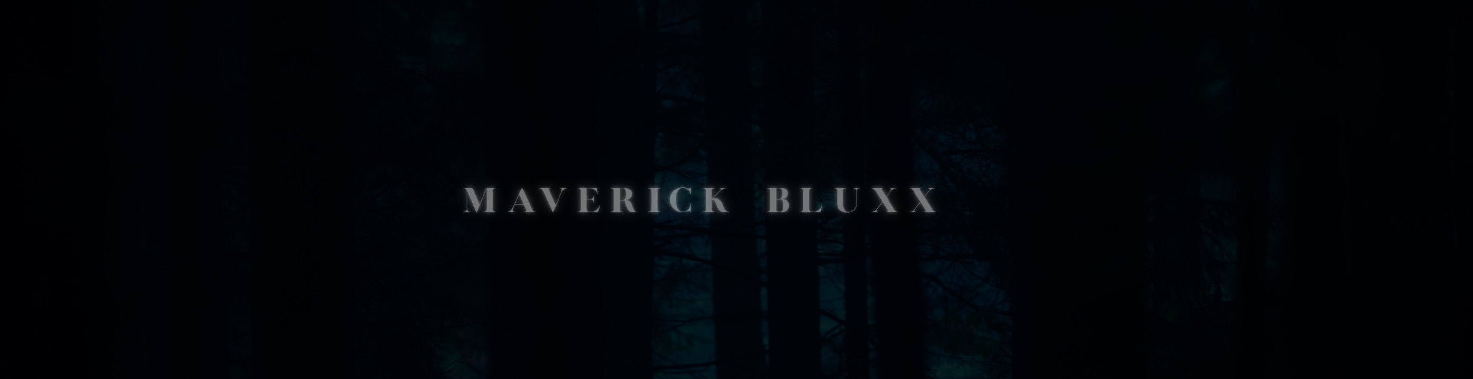 Maverick Blu banner image
