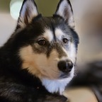 Maverick's Mom avatar