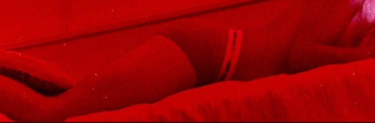 MAX PLEASURE banner image