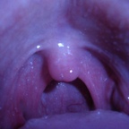 Max_Vore avatar