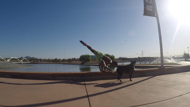 Max Flow yoga cover image