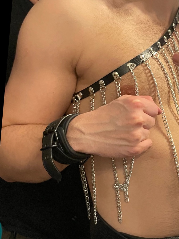 maximilian.fit.dom cover image
