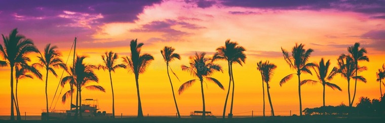 Maxxx.LP cover image