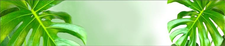 Max Point cover image