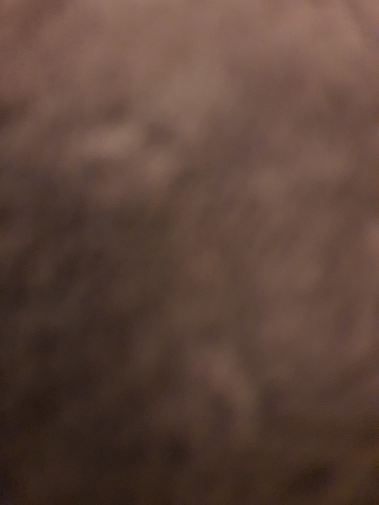 Max banner image