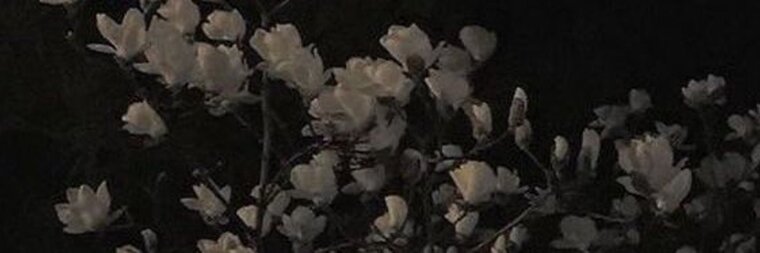 M- banner image