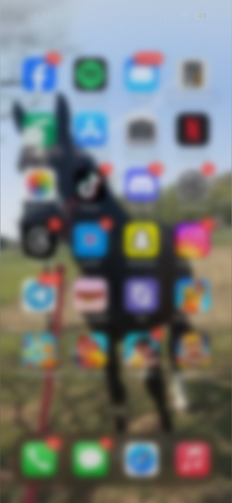 Mayanaise1x banner image