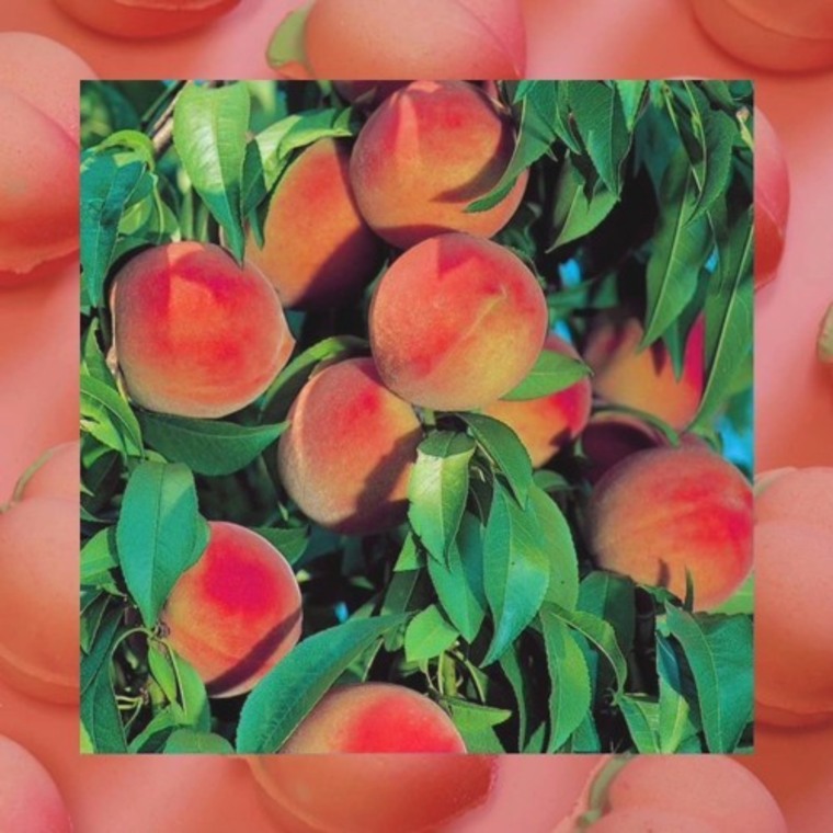 Mcbooty cover image