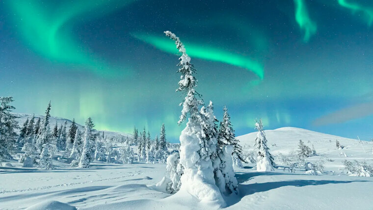 u2471517 banner image