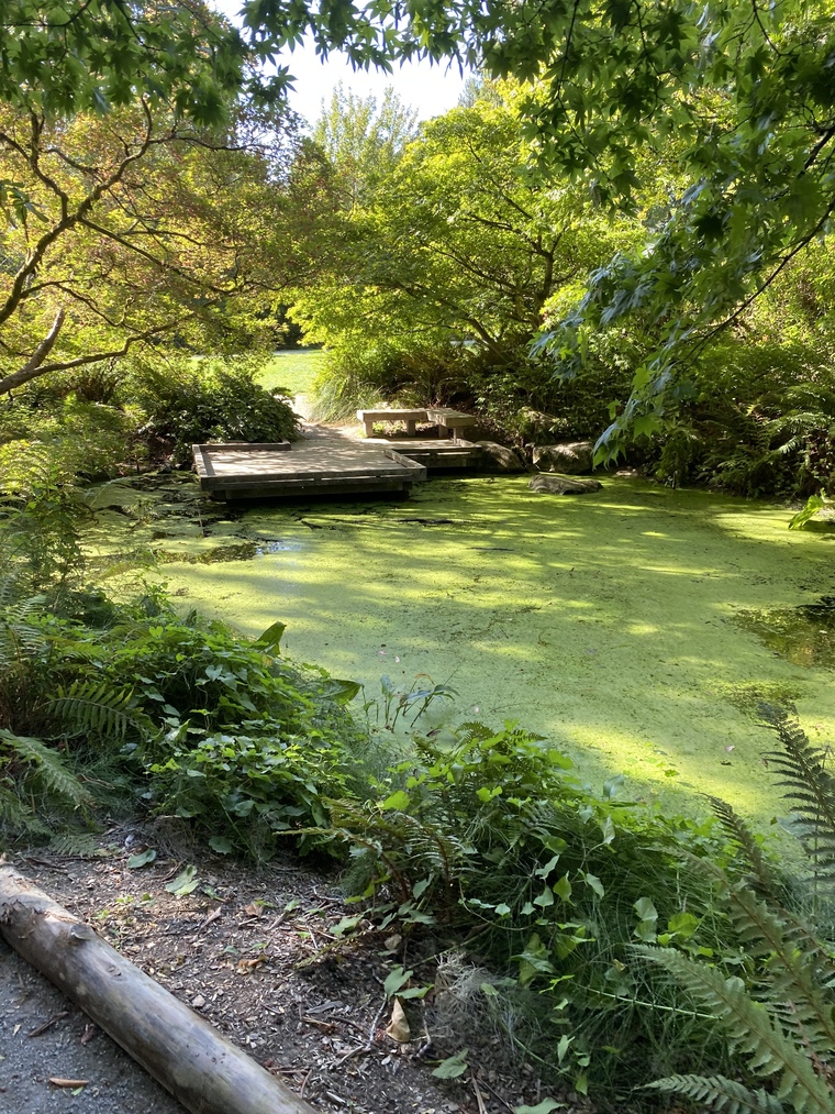 McKenna Green cover image