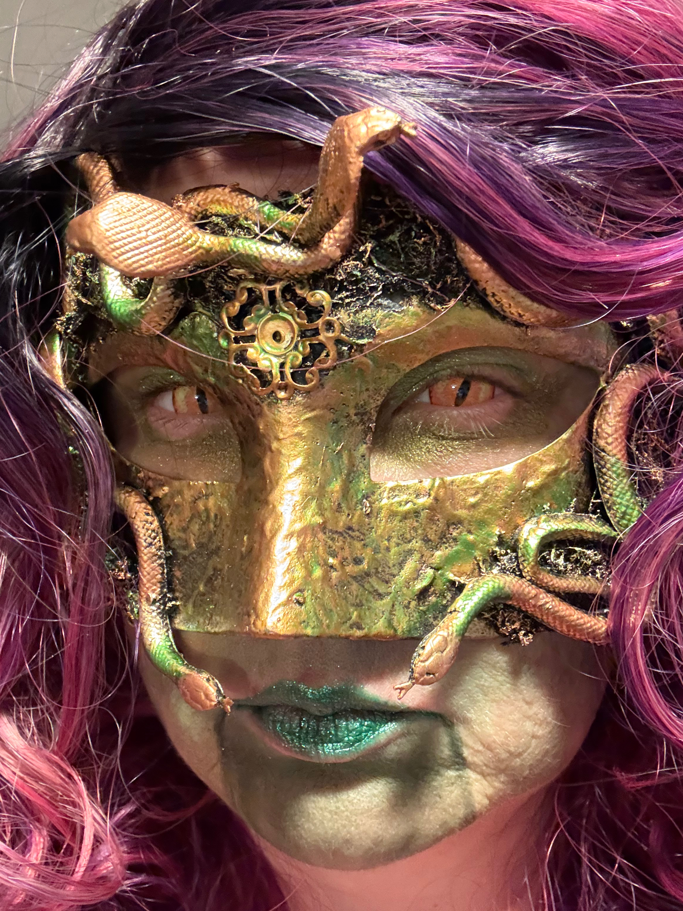Medusa Ecdysis banner image