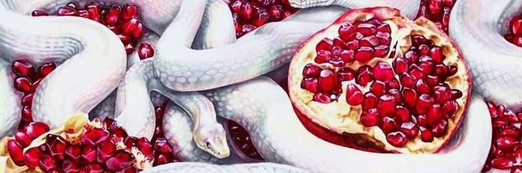 Medusa Rey cover image