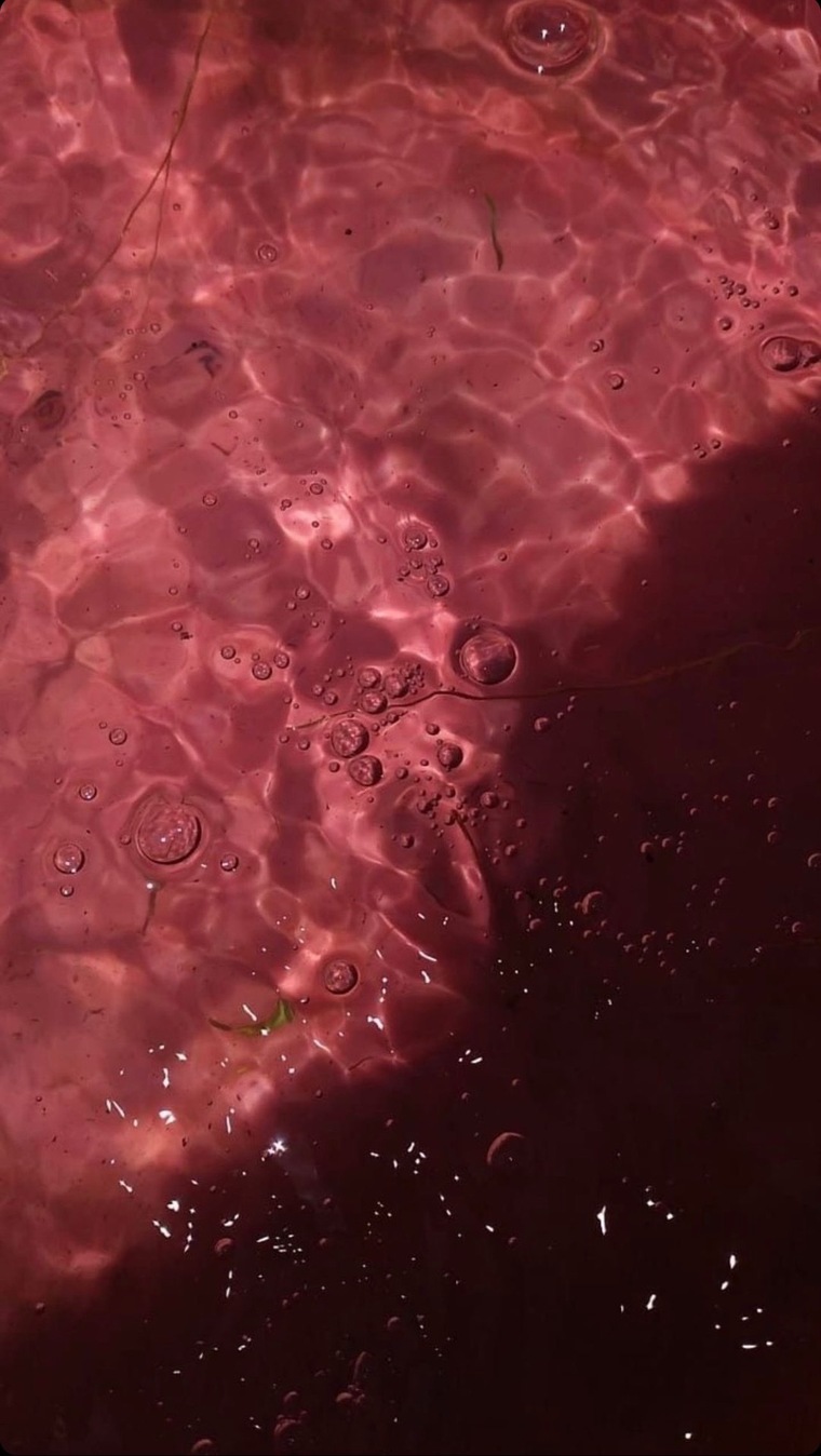 Meeky  Queen cover image