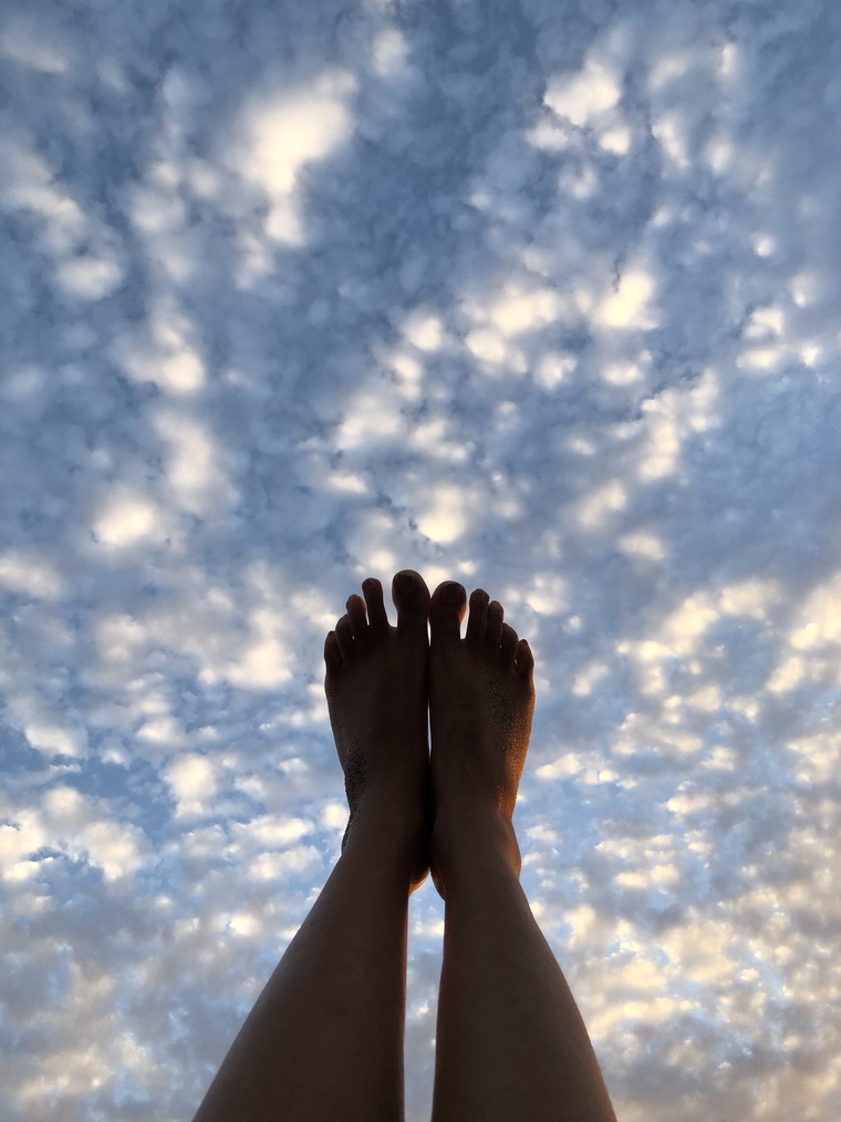 Have you met my feet yet? banner image