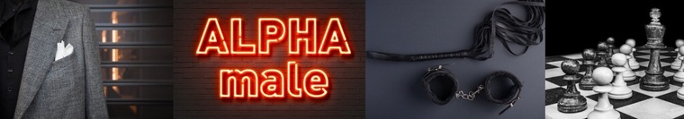 Mega Dom banner image