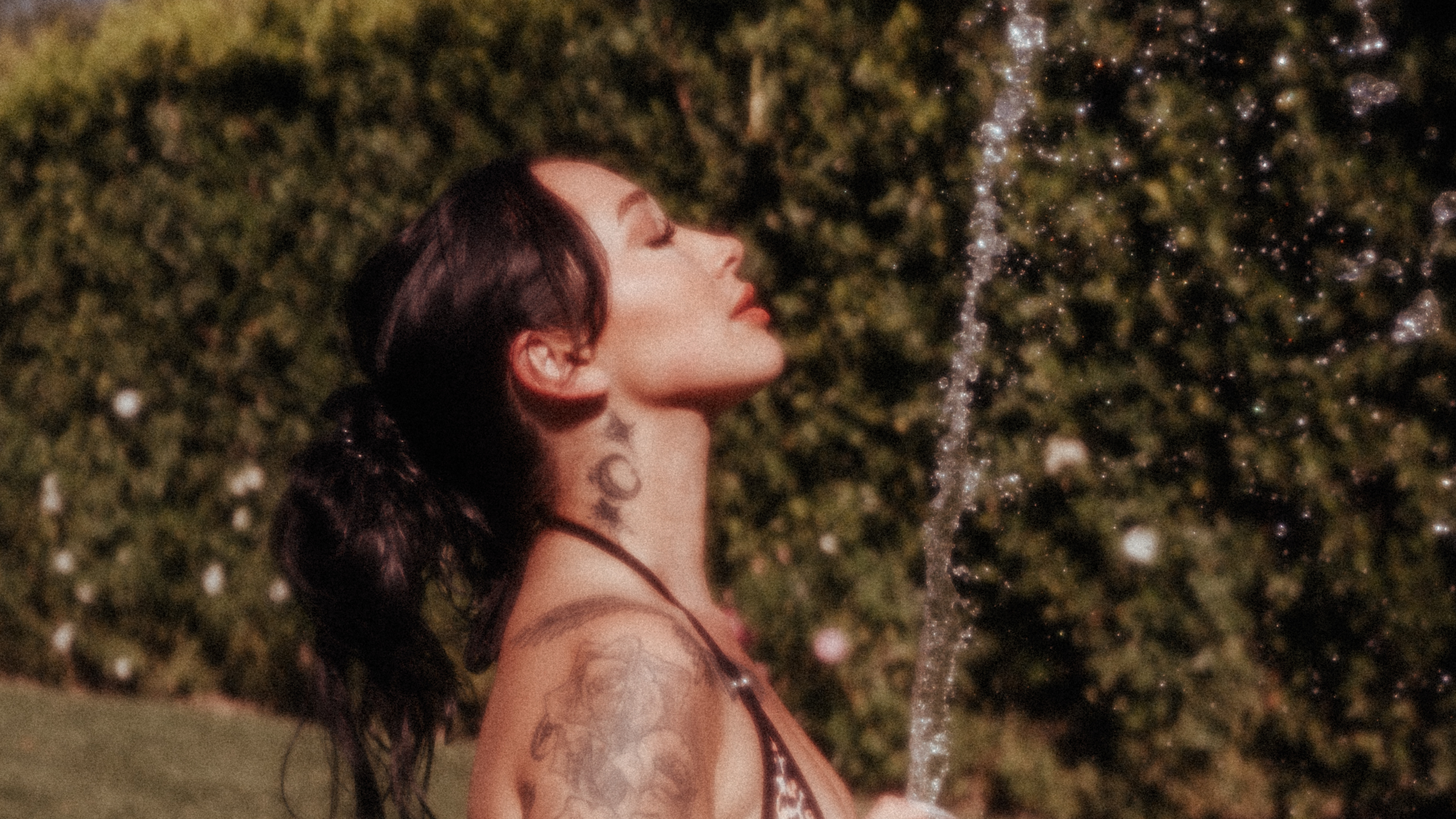 Meg banner image