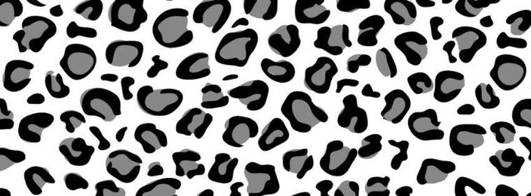 Megan banner image