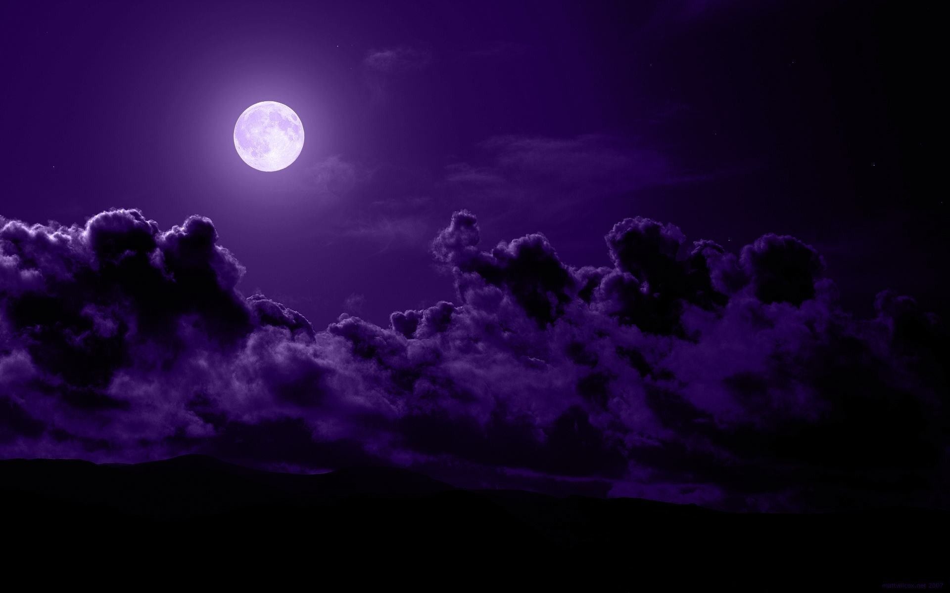 Meissa ๐ banner image