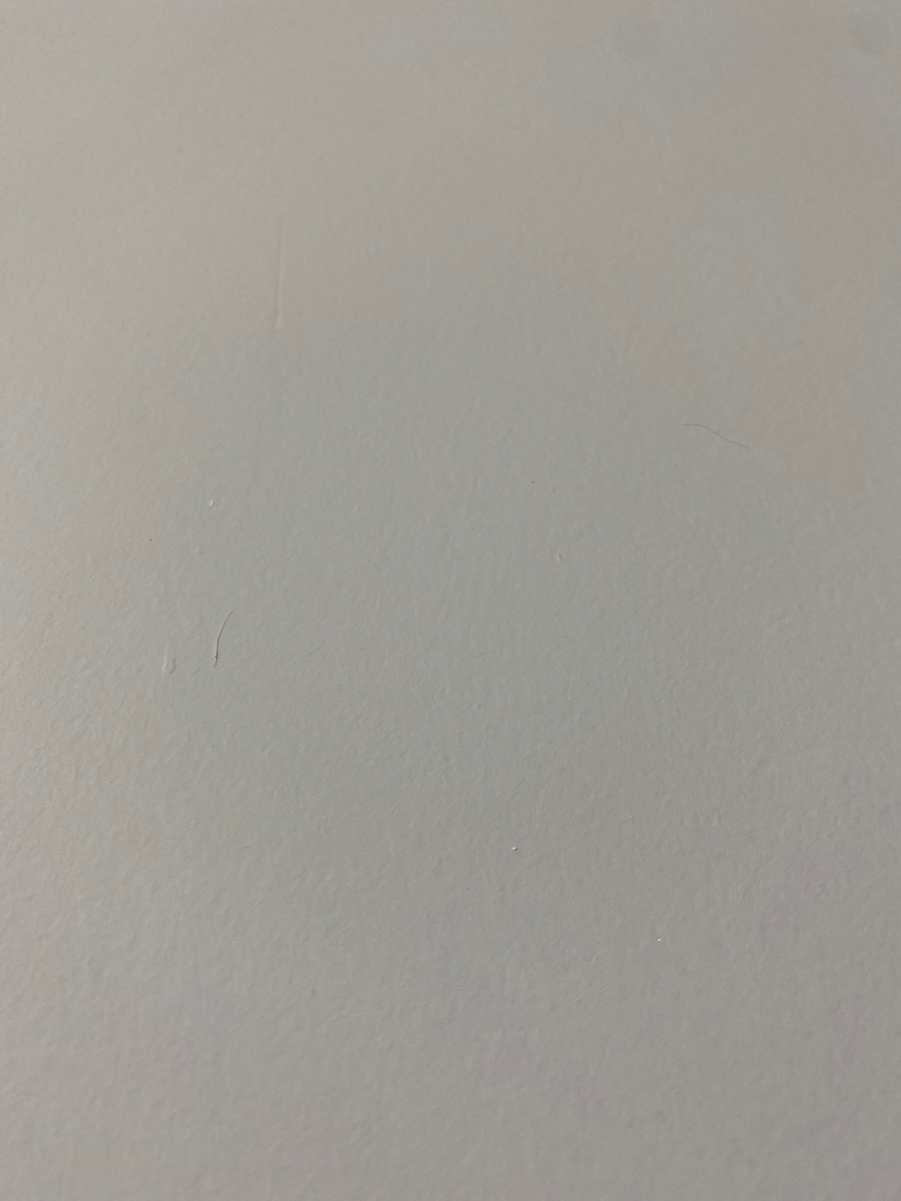 Melanie Bunny banner image