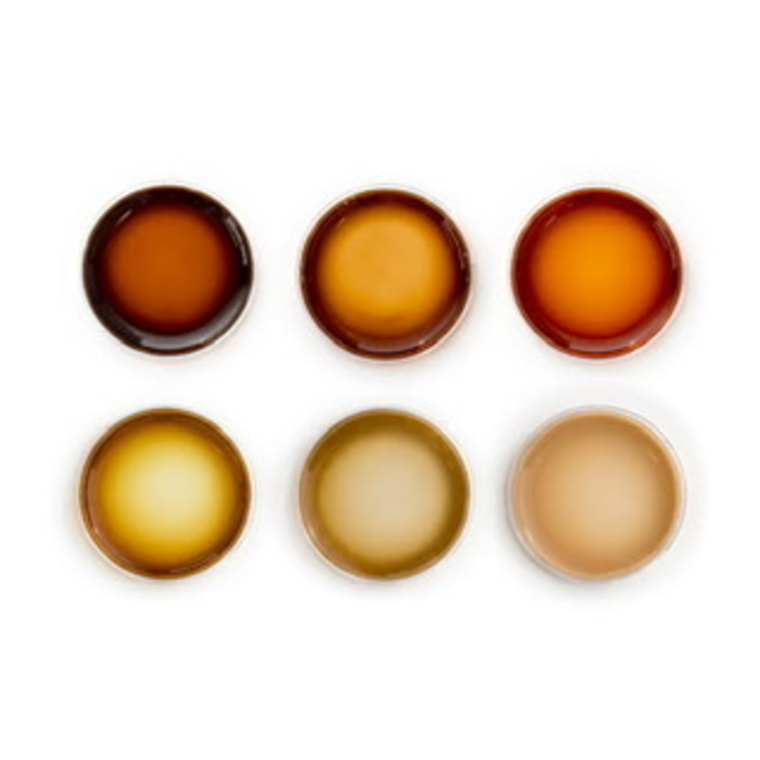 Melanin cover image