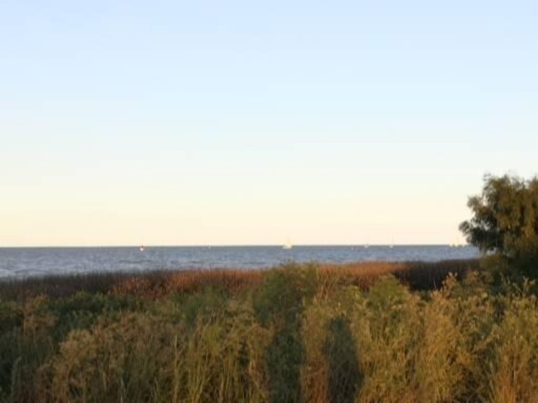 Melany cover image