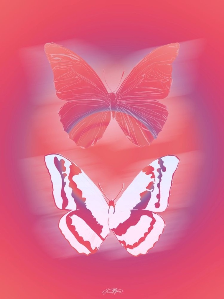 Melari banner image