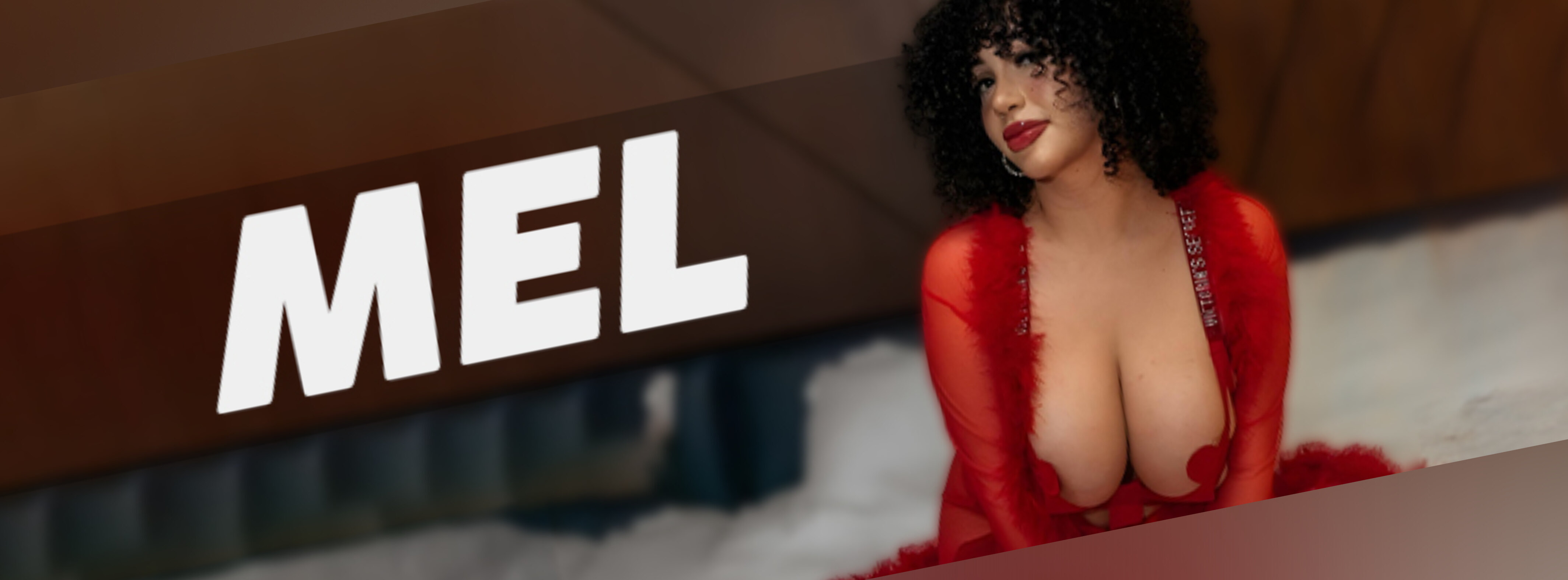 meldadel banner image
