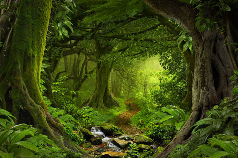 Melissa_Mae cover image