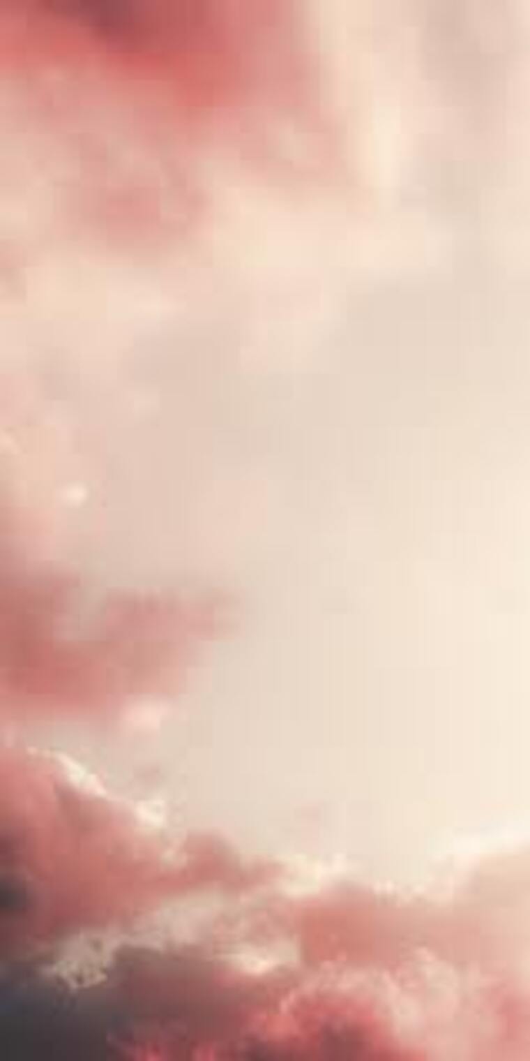 Meli banner image