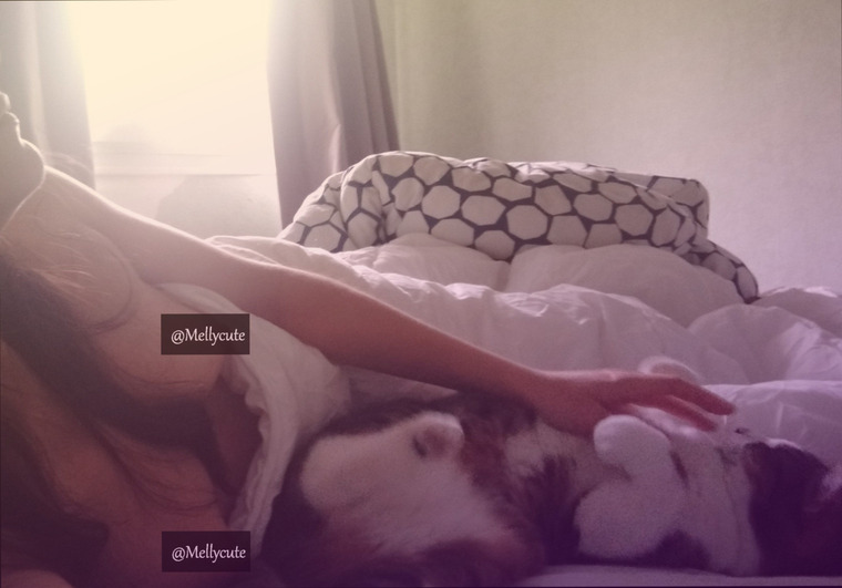 Mellycute cover image