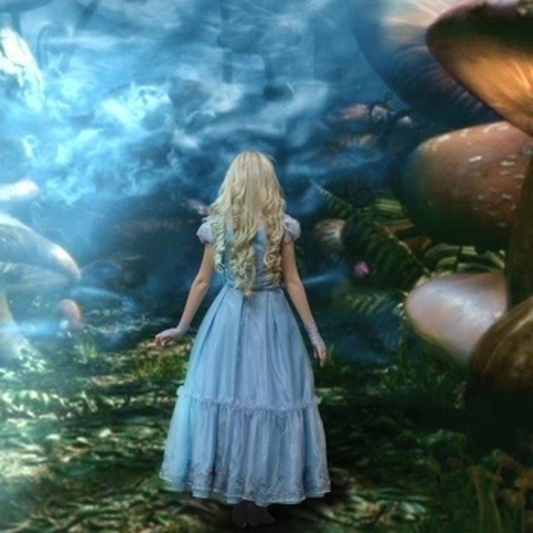 Melody Amelia cover image