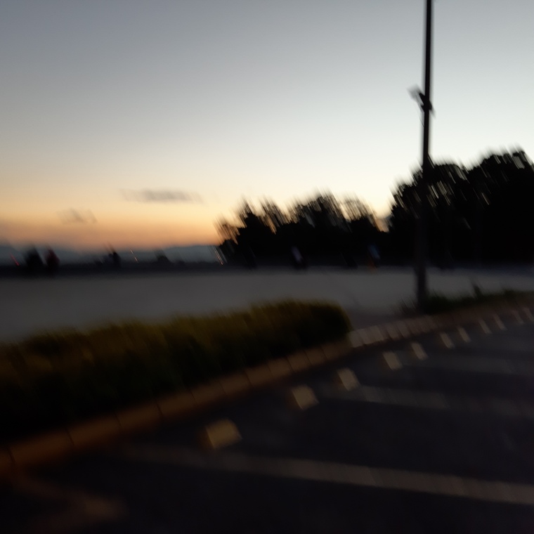 Guillermo Herrera cover image