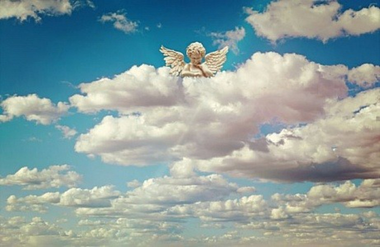 ESTEFANIA banner image