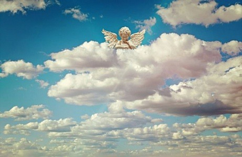 ESTEFANIA cover image