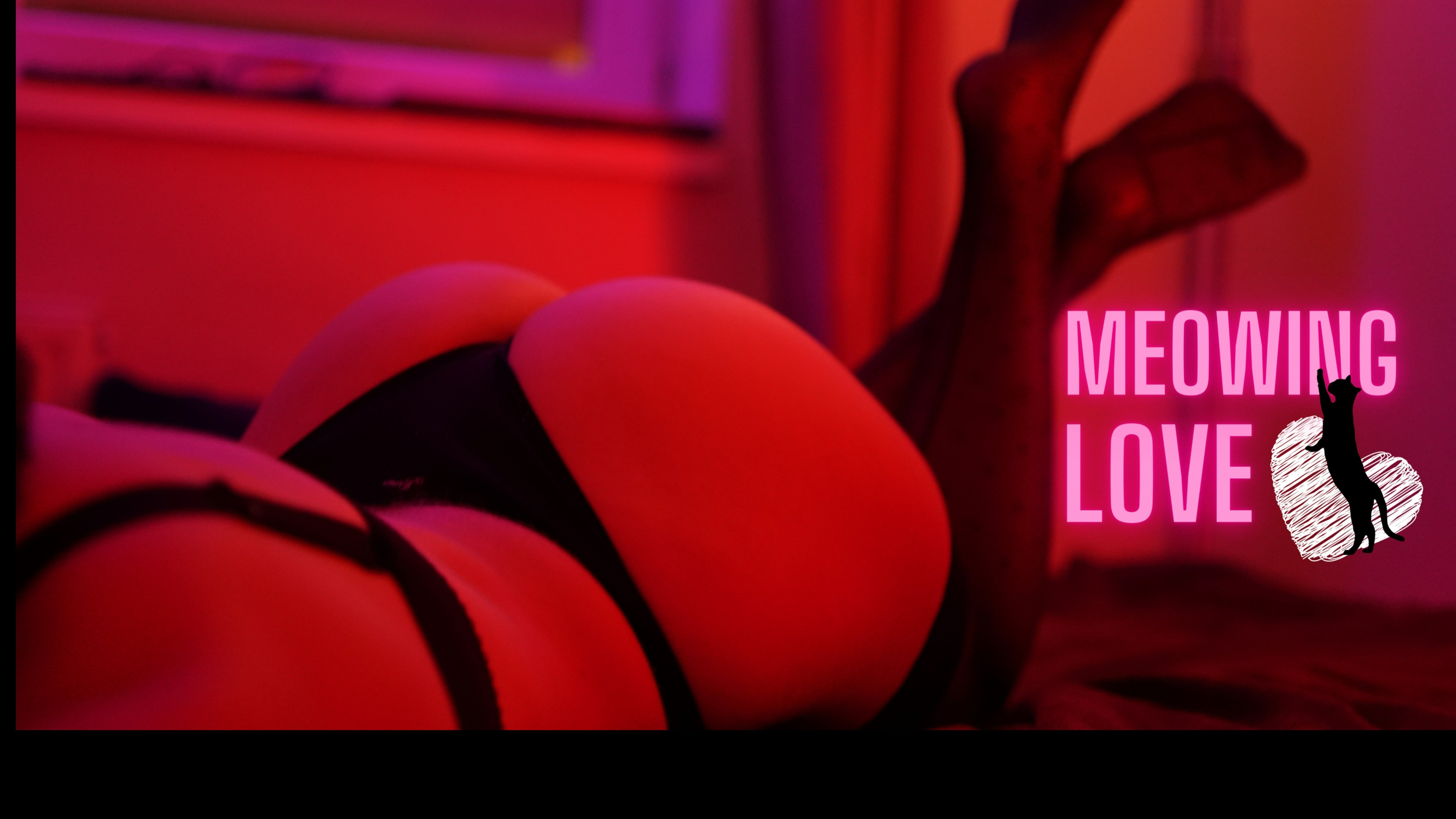 Meowing Love banner image