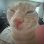 MeowMami avatar