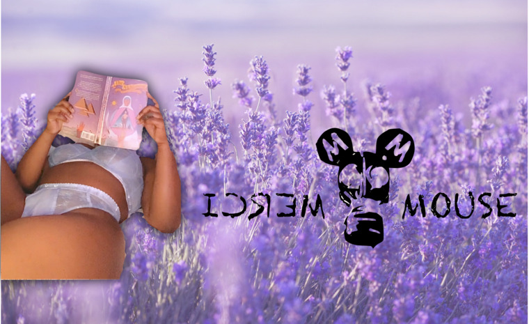 Merci Mouse cover image