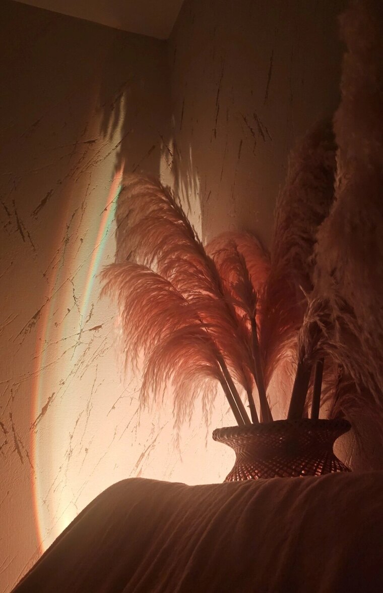 Merida banner image