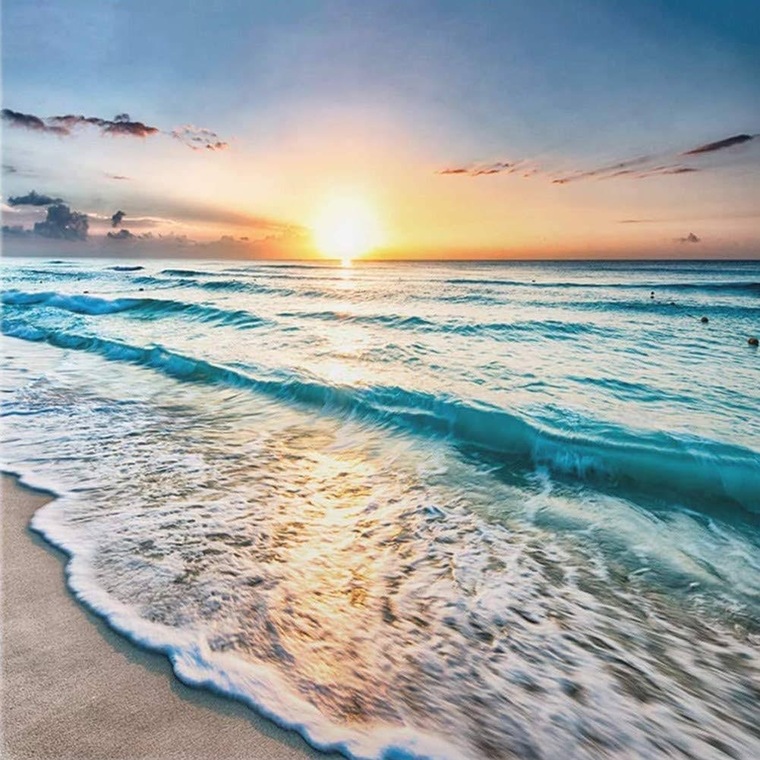 Mermaidshelly cover image