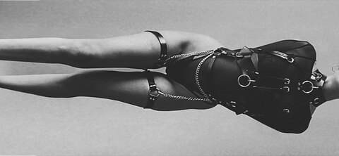 Mery Wolf cover image