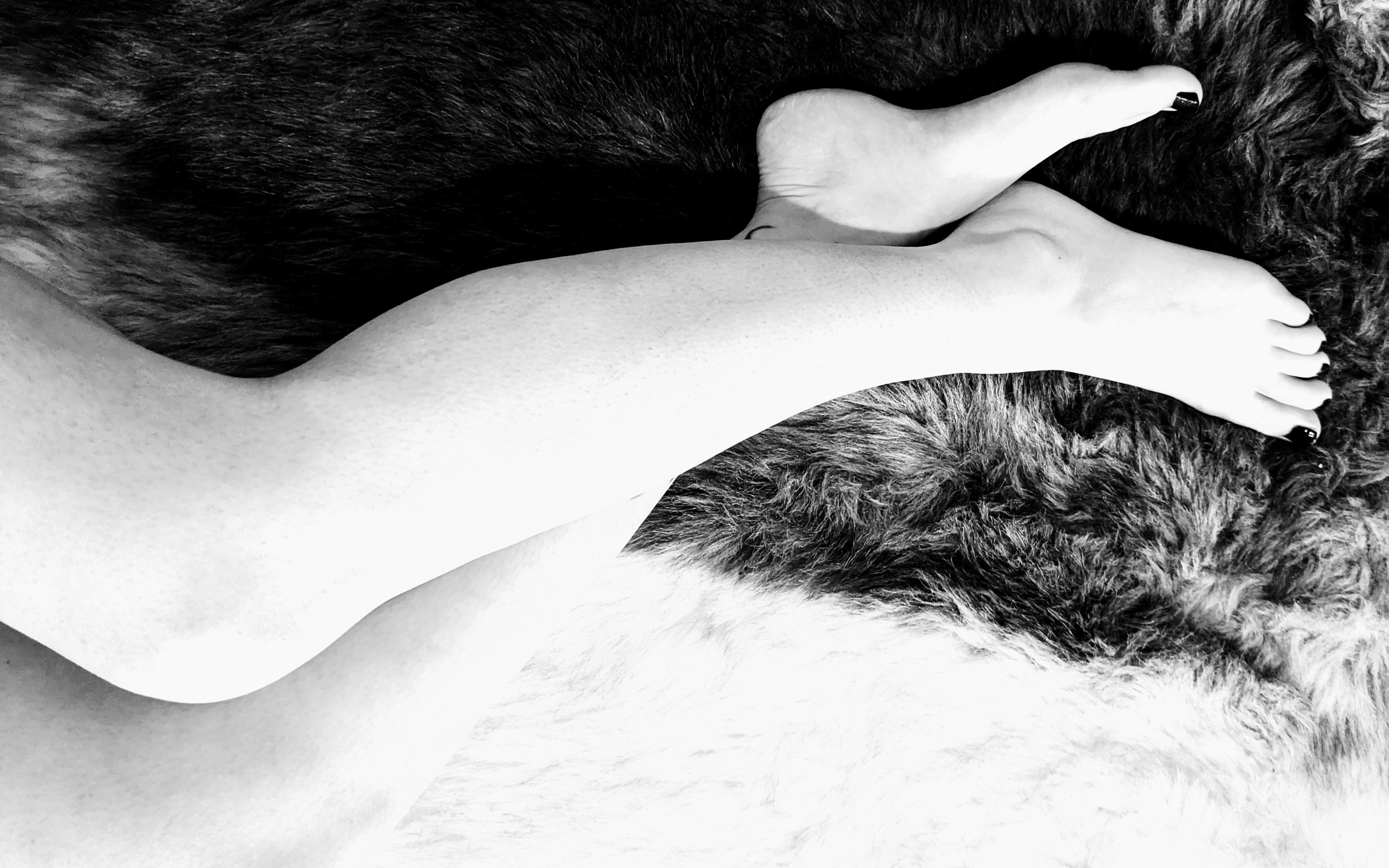 My Divine Feet banner image