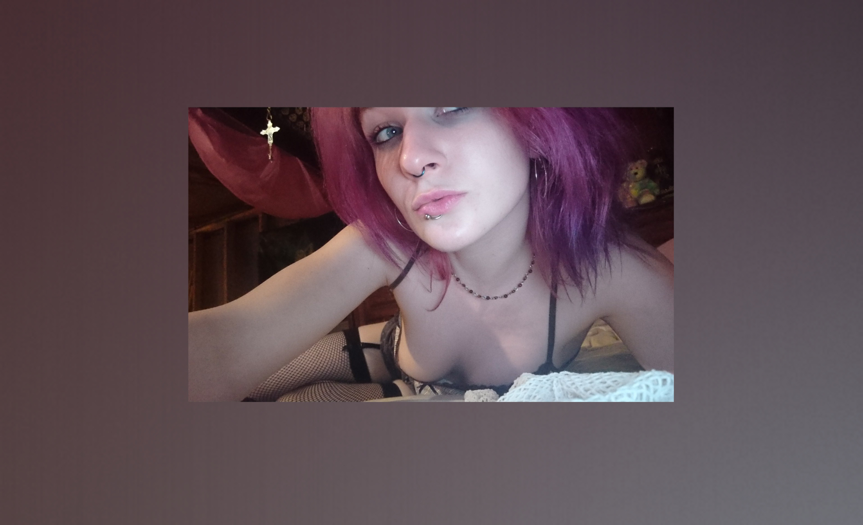 Lavender banner image
